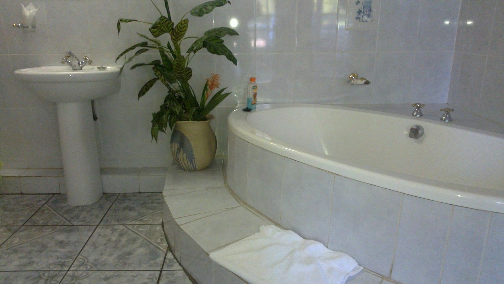נלספרויט Harmony Guesthouse מראה חיצוני תמונה